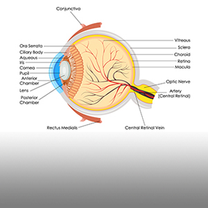 eye-diagram